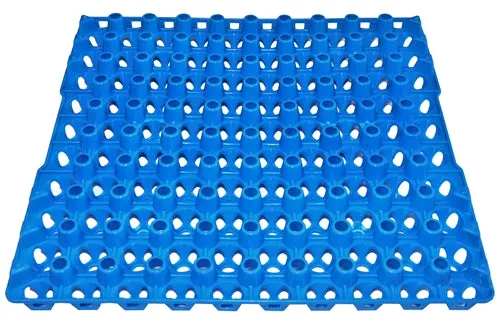 12 Pack of 90 Quail, Pigeon, Dove, & Bird Size Egg Trays