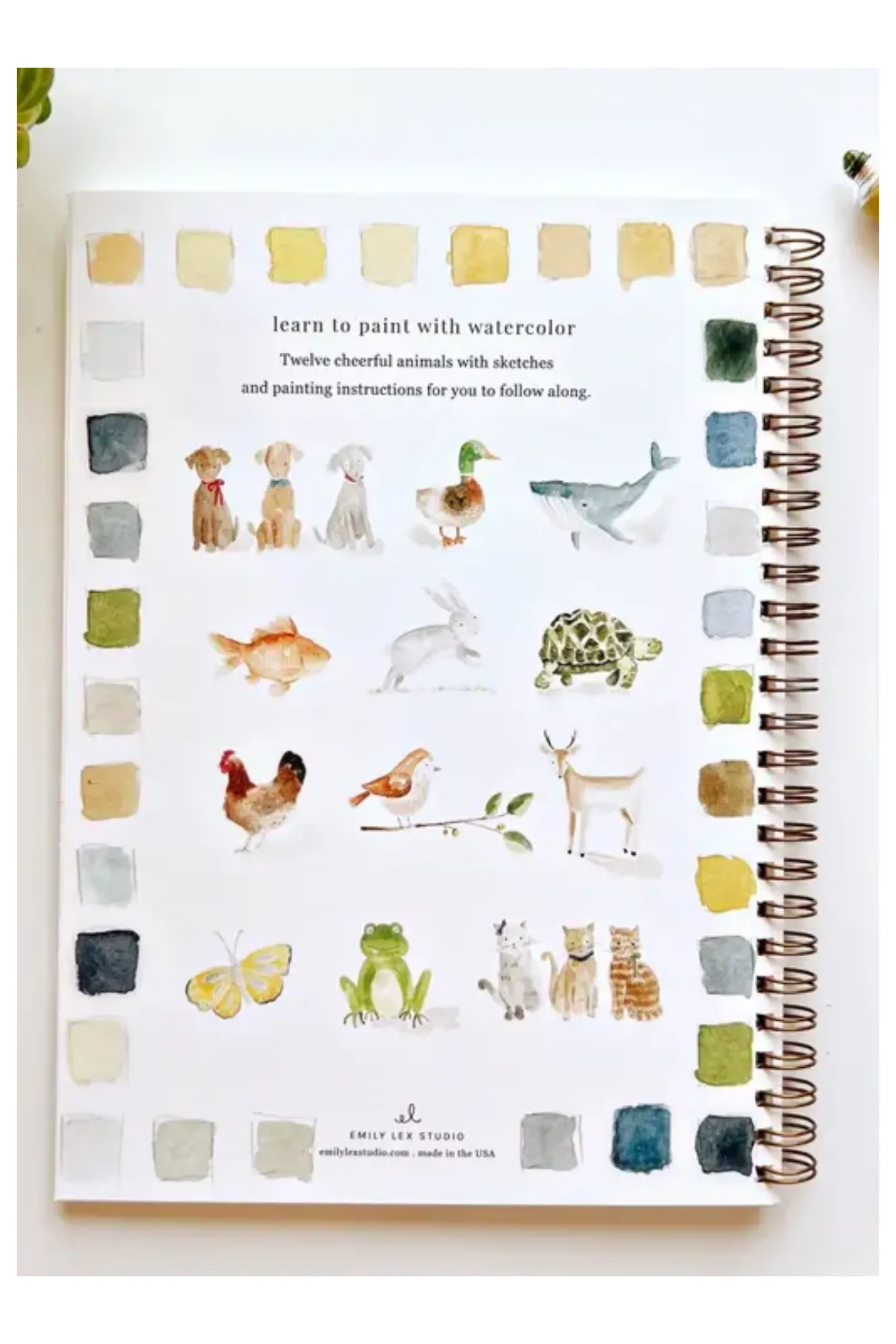 Animals Watercolor Workbook