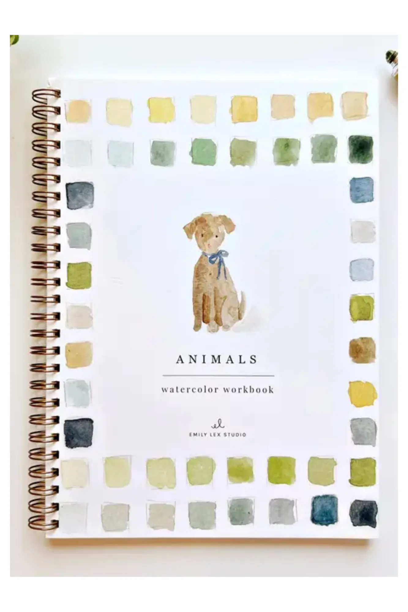 Animals Watercolor Workbook