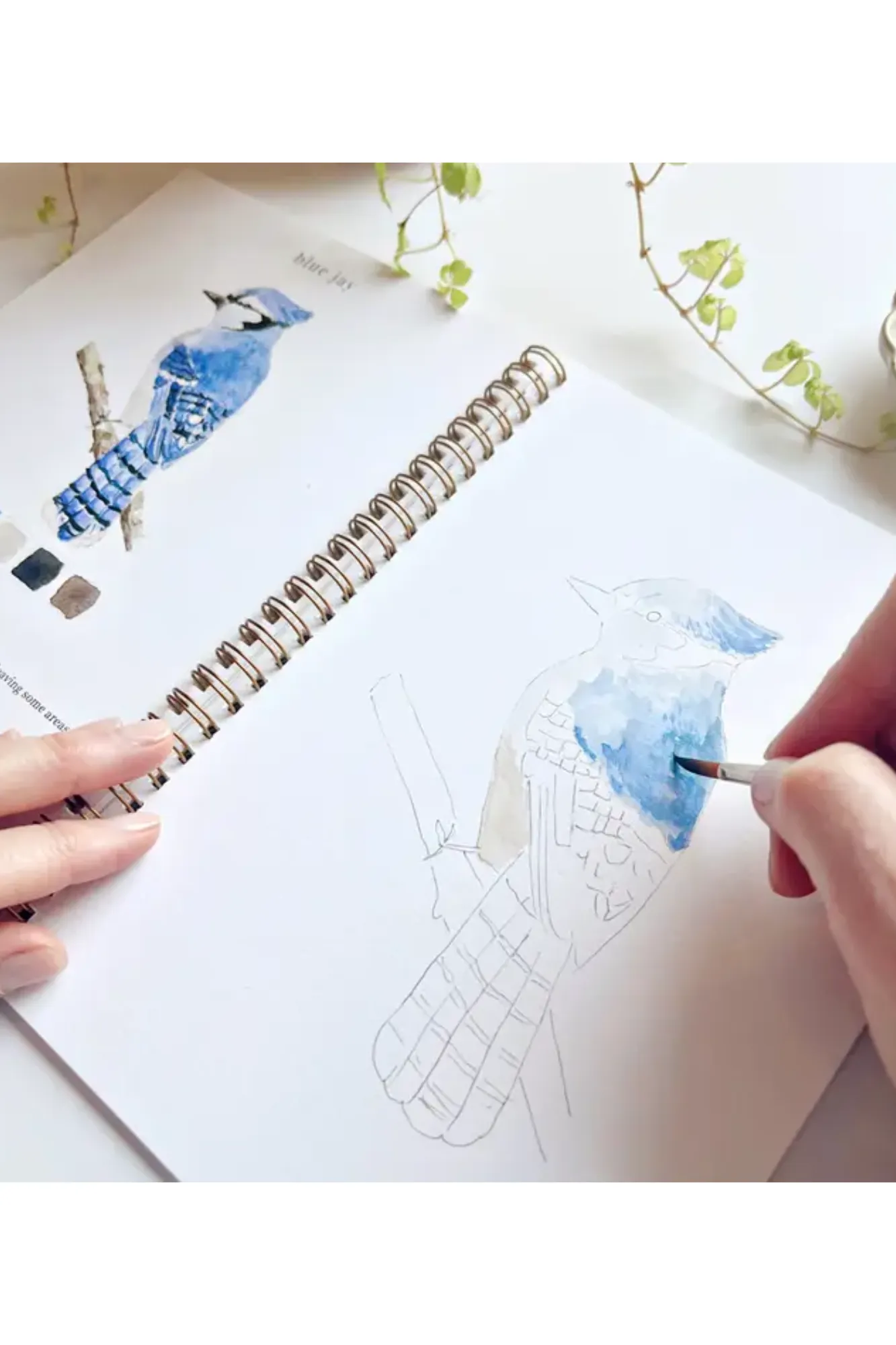 Birds Watercolor Workbook
