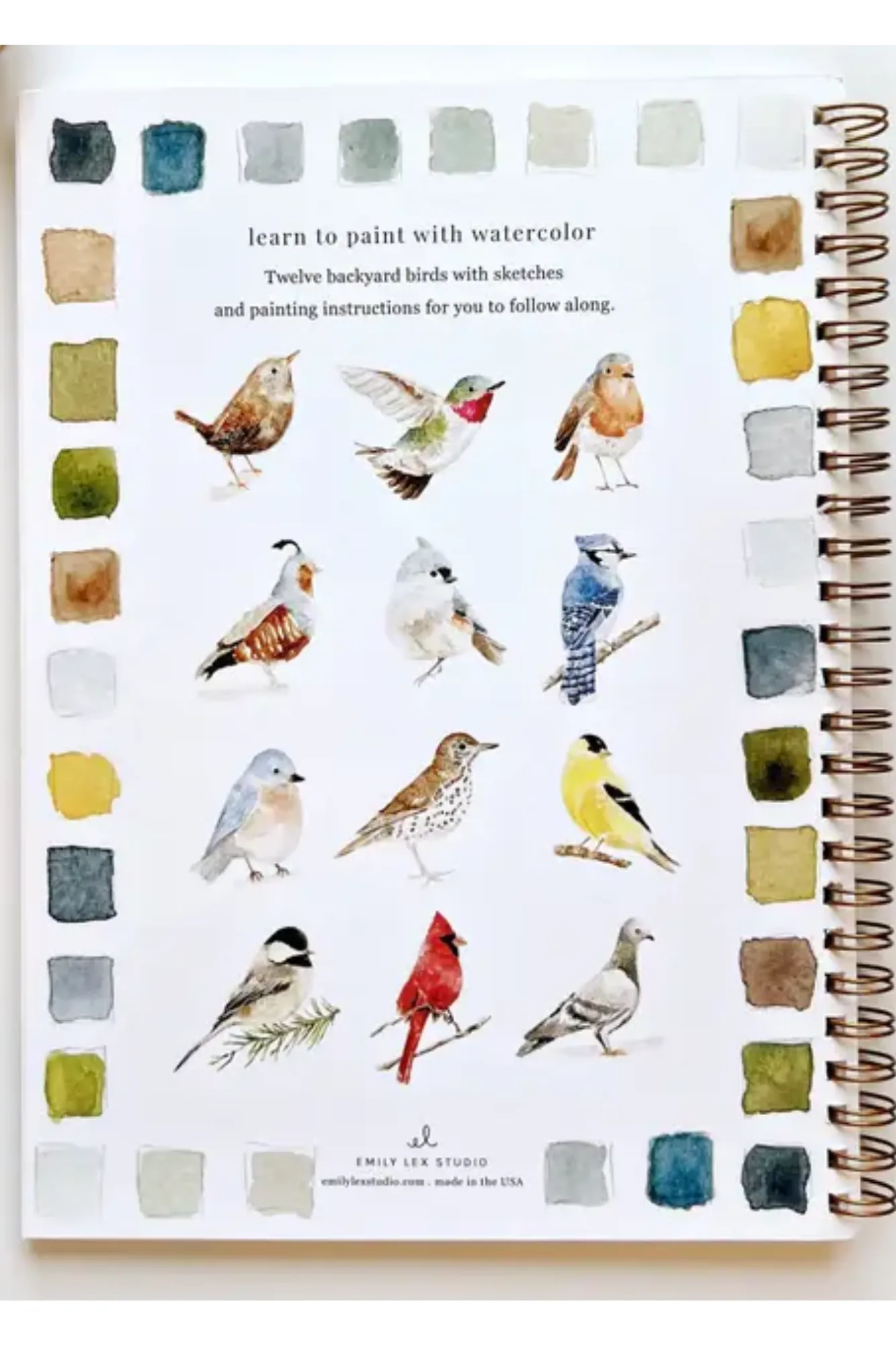 Birds Watercolor Workbook